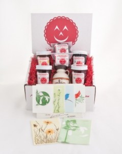 The Best of Benzie Gift Box!